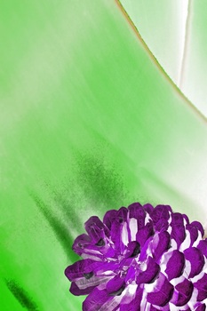 N 081F